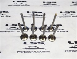 Клапана увеличенные и облегченные ВАЗ 2101 8V 39х34 АБС 77268